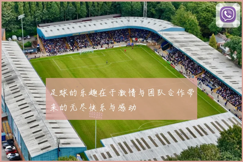 足球的乐趣在于激情与团队合作带来的无尽快乐与感动