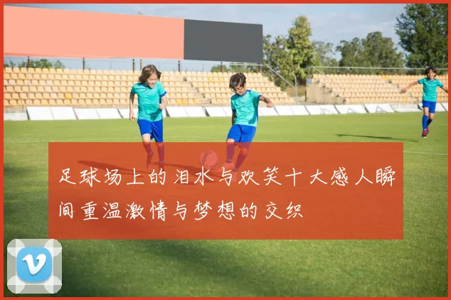 足球场上的泪水与欢笑十大感人瞬间重温激情与梦想的交织