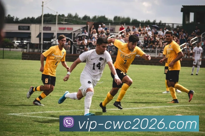 多媒体互动体验